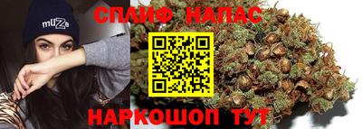 прущие грибы Краснокаменск