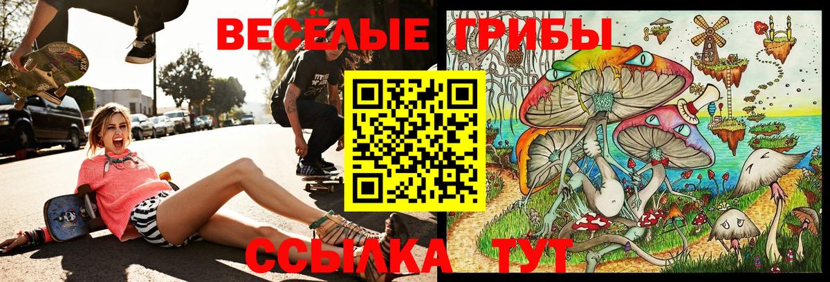 Псилоцибиновые грибы Psilocybine cubensis Коммунар