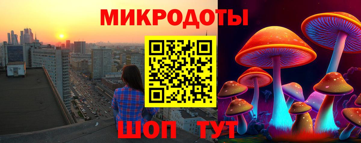 Коммунар  Псилоцибиновые грибы мицелий  Вход с VPN 